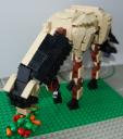 horse3.jpg