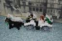 wedding_carriage.jpg