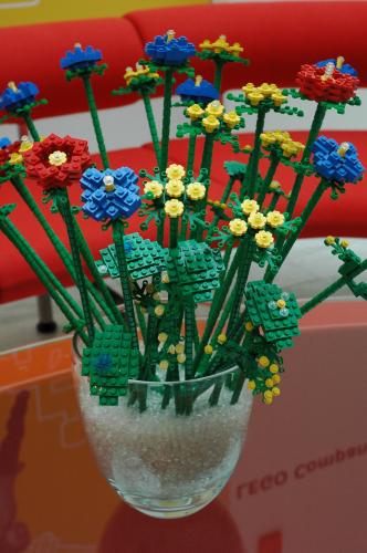 dsc_0170a.jpg