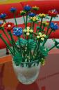 dsc_0170a.jpg