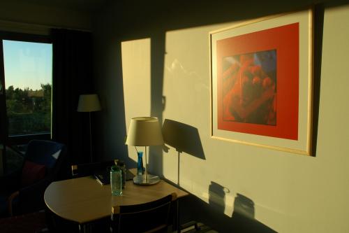 dsc_0001a.jpg