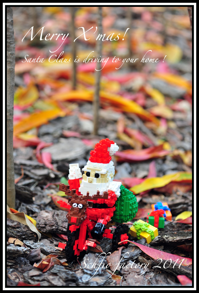 dsc_1855xx.jpg
