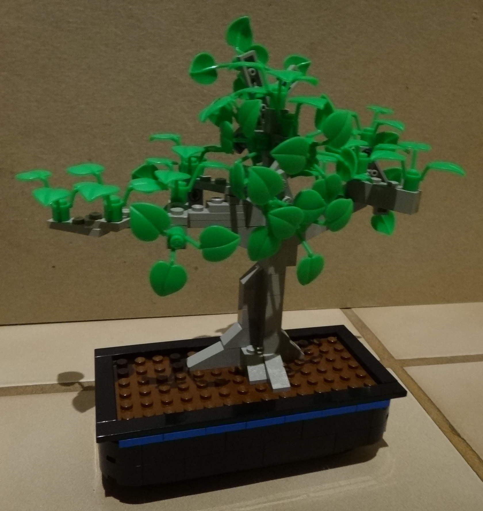 bonsai01-01.jpg
