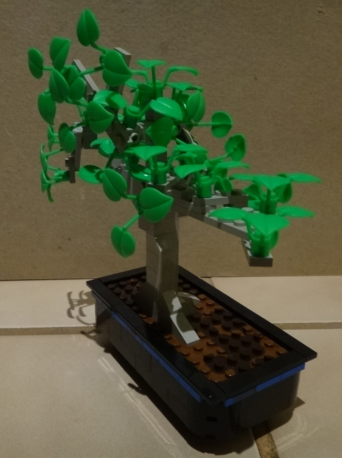 bonsai01-02.jpg