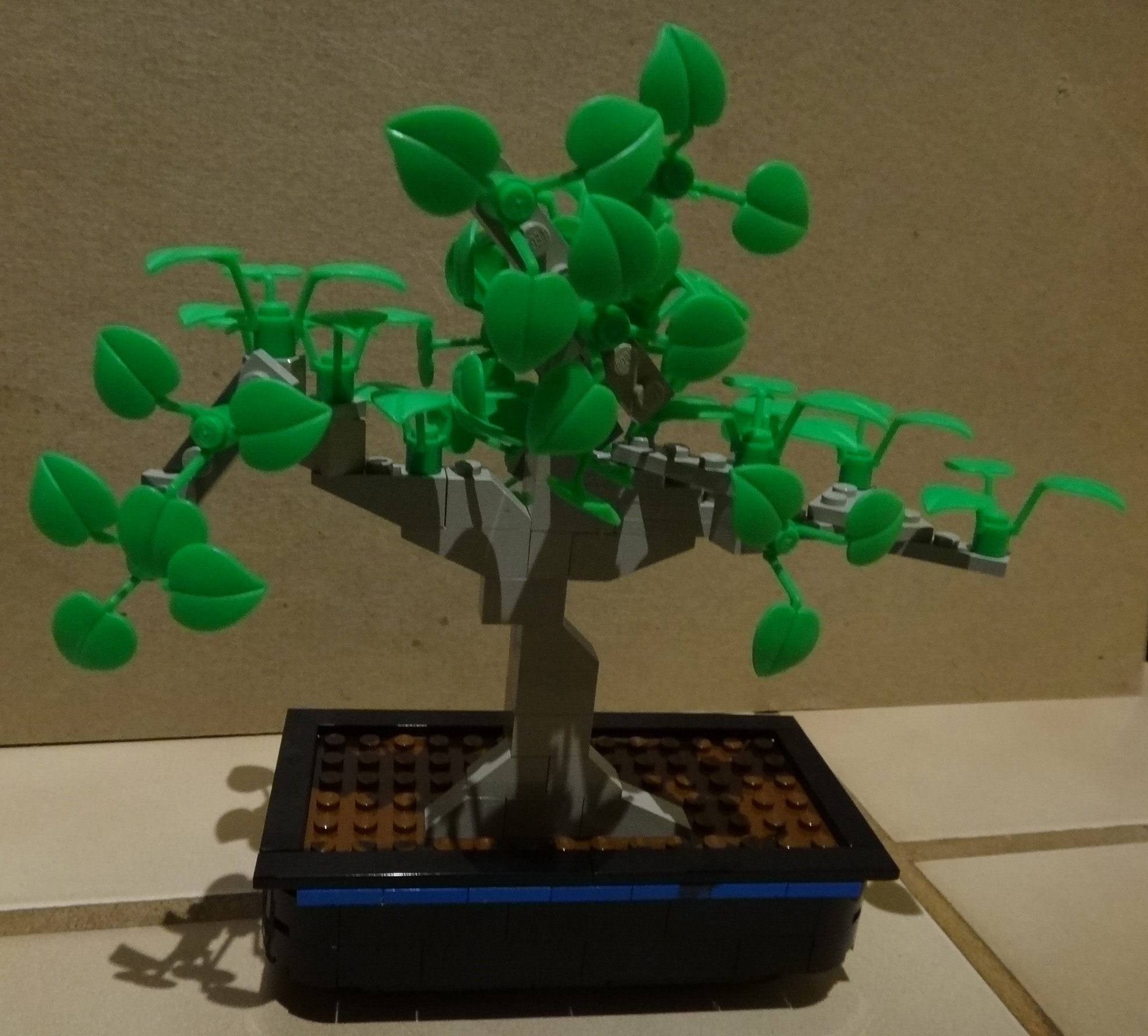 bonsai01-03.jpg