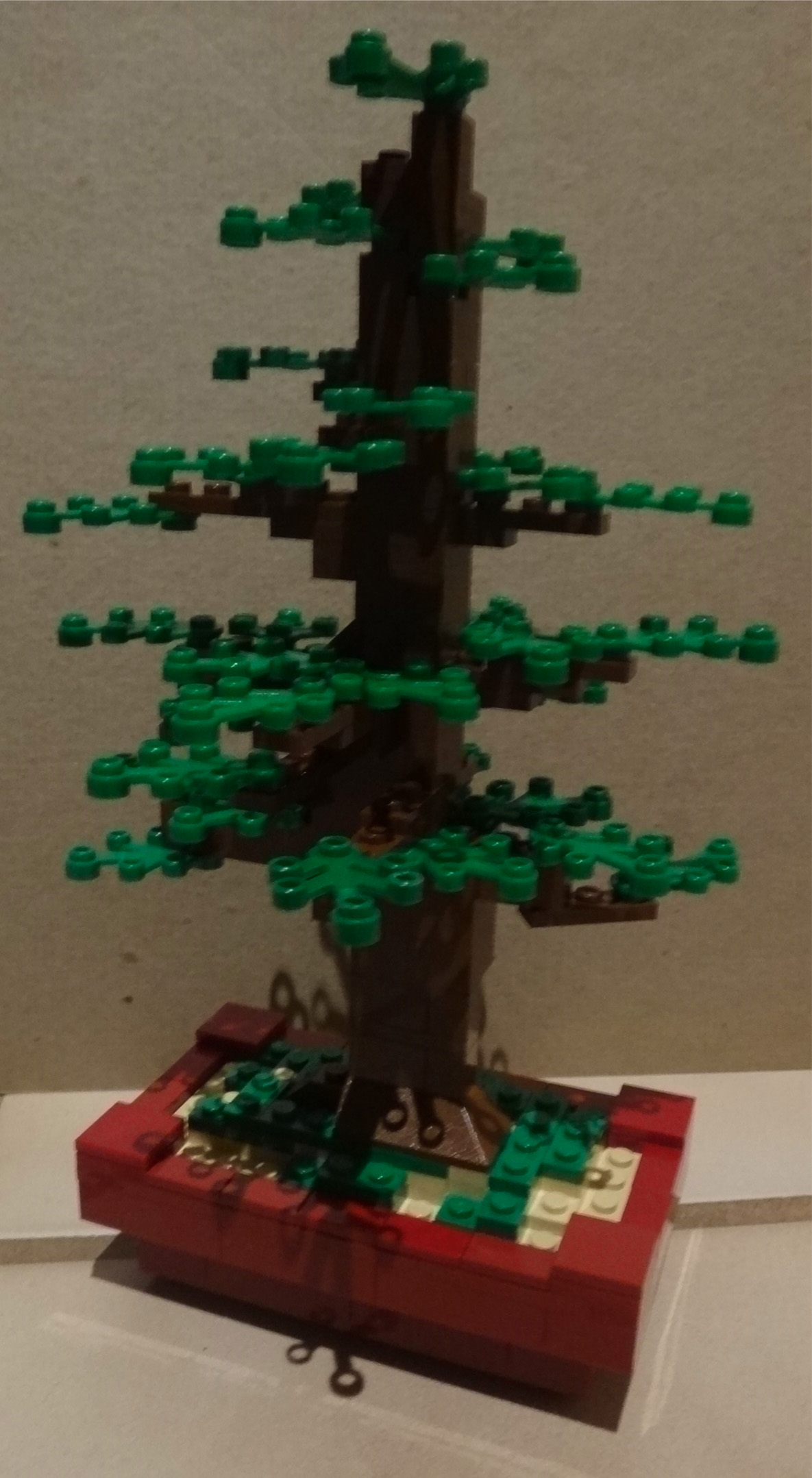 bonsai02-01.jpg