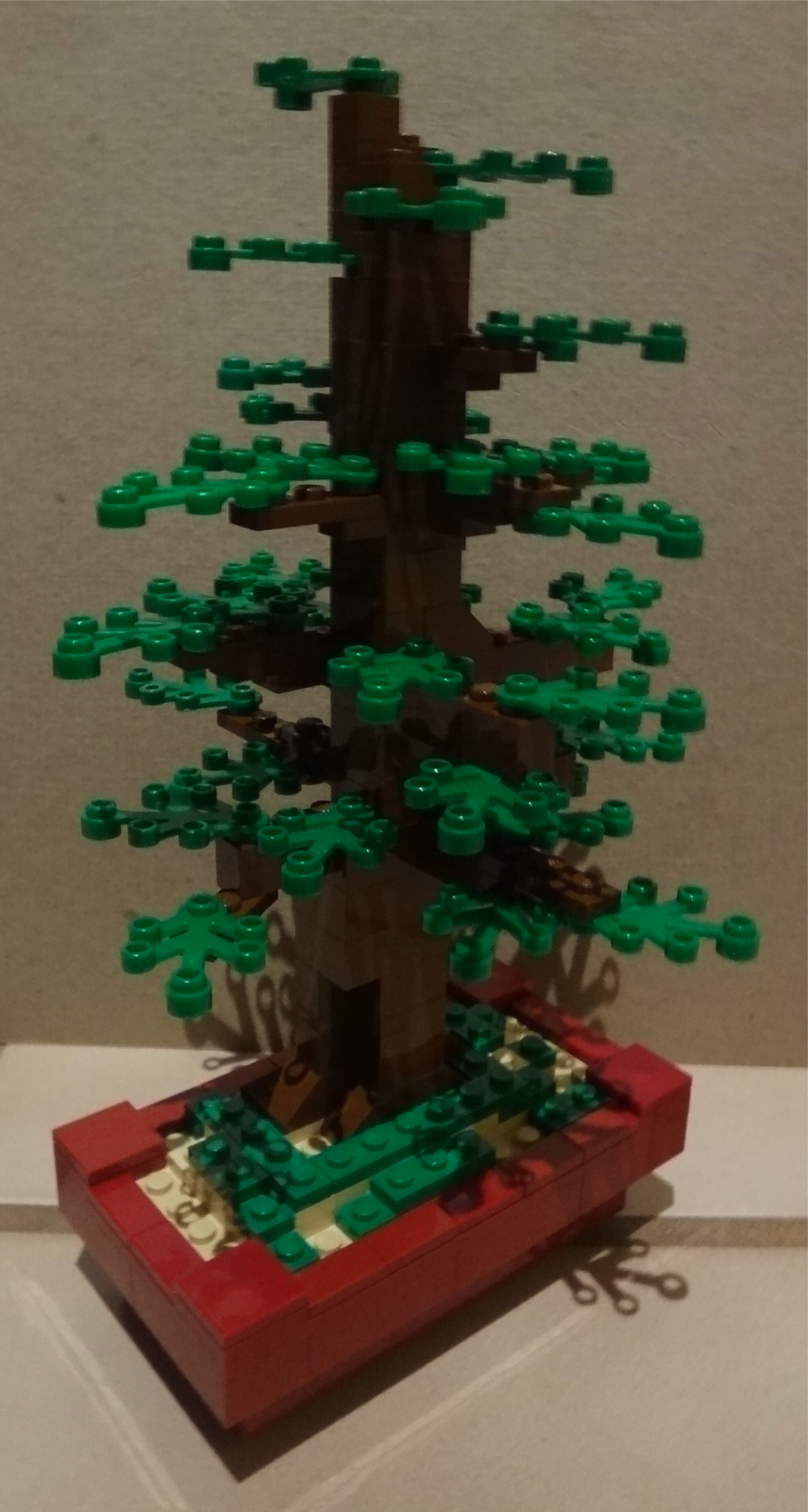 bonsai02-02.jpg