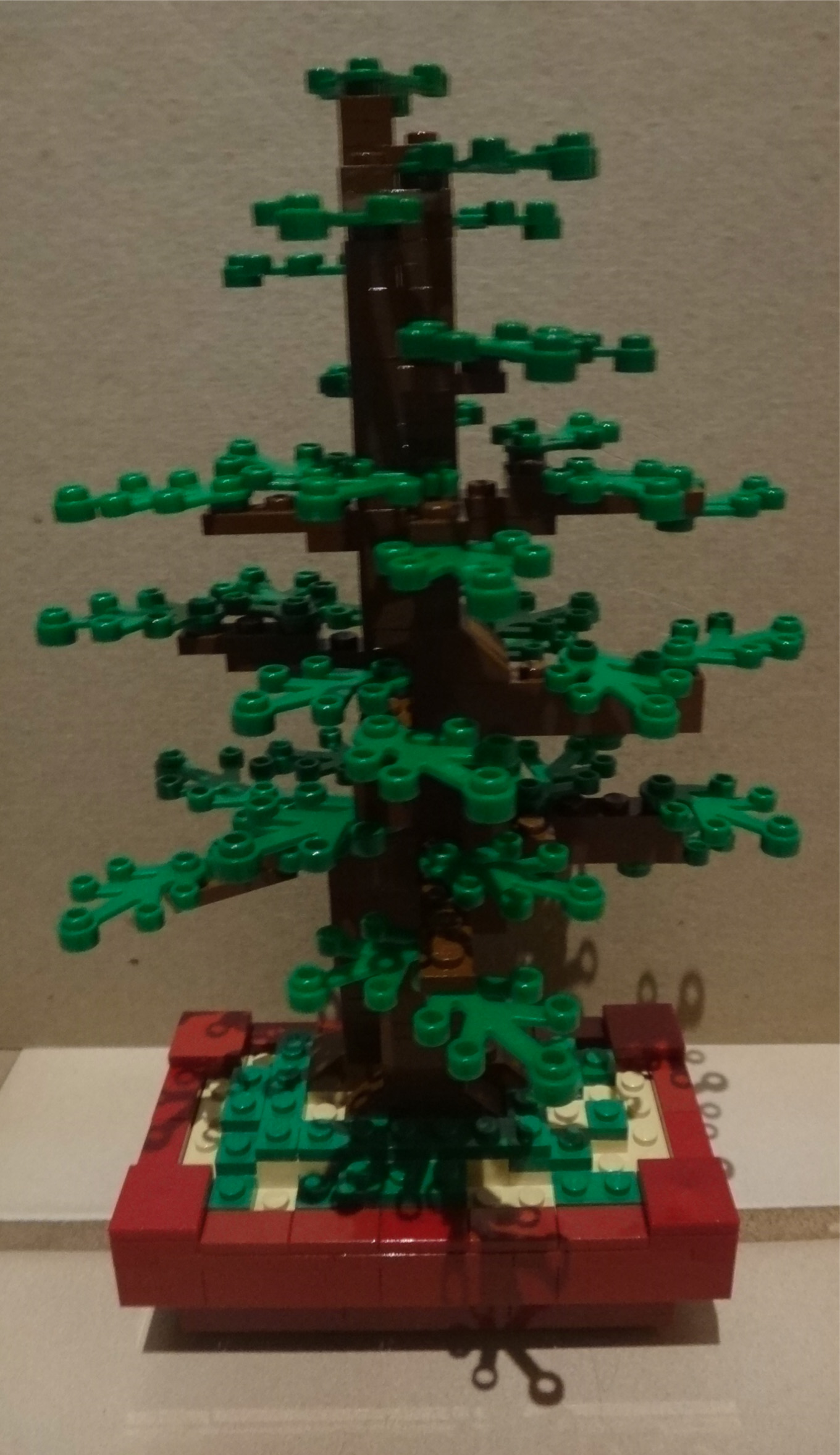 bonsai02-03.jpg