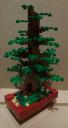 bonsai02-02.jpg