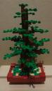 bonsai02-03.jpg