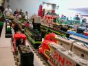 yard-sw-closeup2.jpg