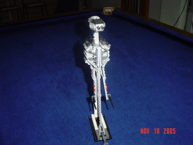 bwing_003.jpg