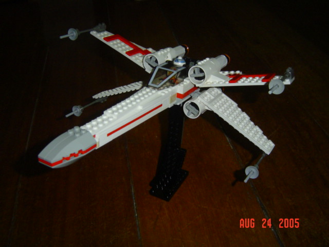mxwing2_001.jpg