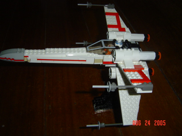 mxwing2_003.jpg