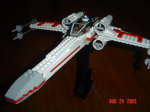 mxwing2_006.jpg