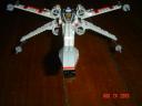 mxwing2_004.jpg