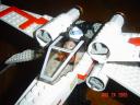 mxwing2_005.jpg