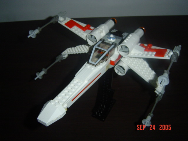 mxwing_001.jpg