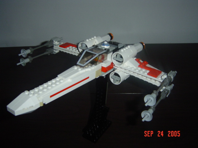 mxwing_002.jpg