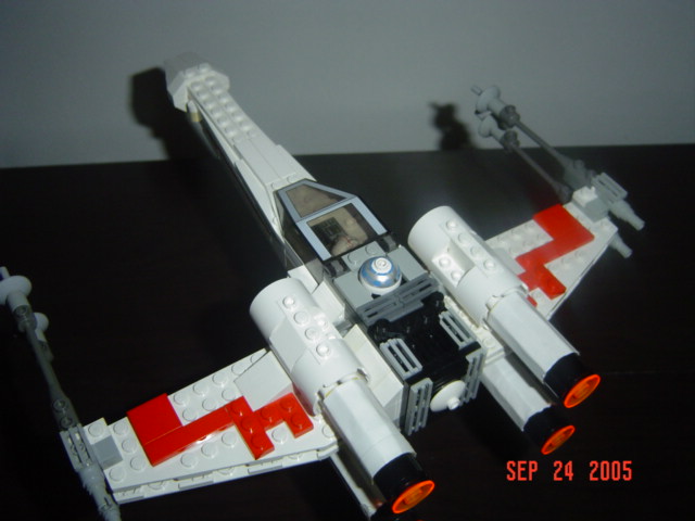 mxwing_003.jpg