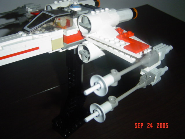 mxwing_004.jpg