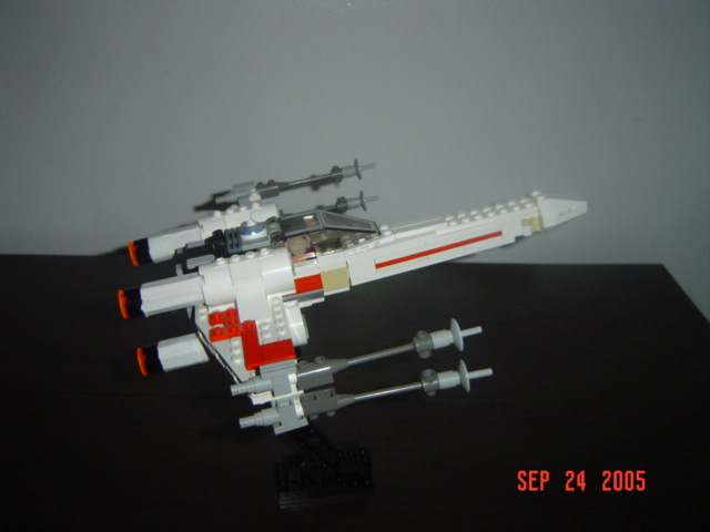mxwing_005.jpg