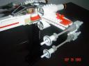 mxwing_004.jpg