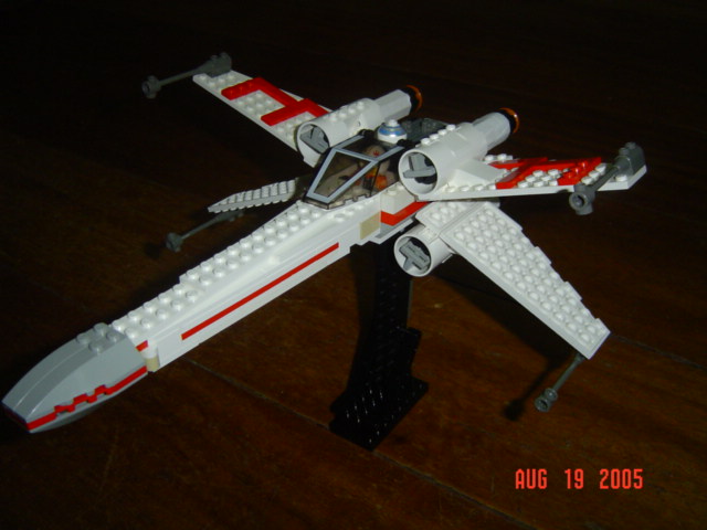 mxwing_001.jpg