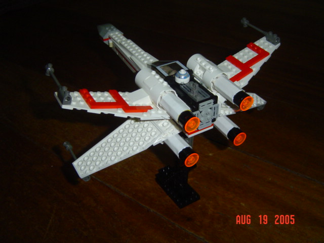 mxwing_002.jpg