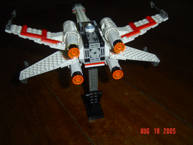 mxwing_003.jpg
