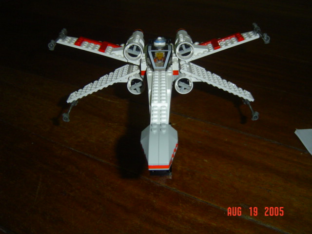 mxwing_004.jpg