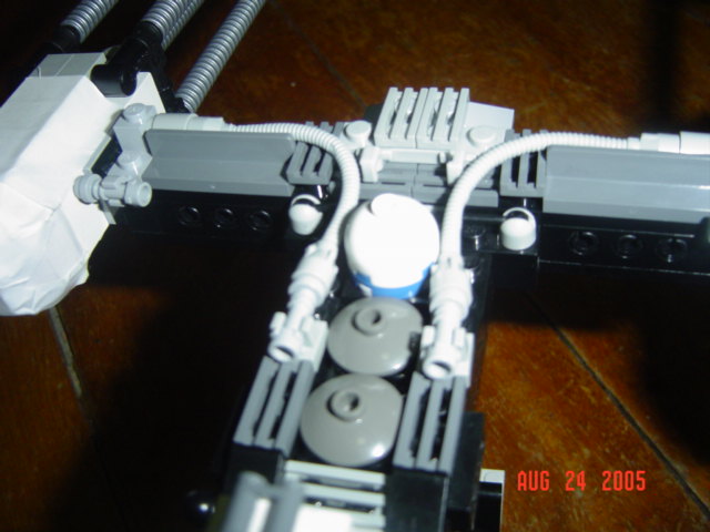 mywing2_004.jpg