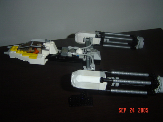 mywing_003.jpg