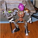 toa-frosam.jpg