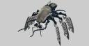 spidercrab1.png