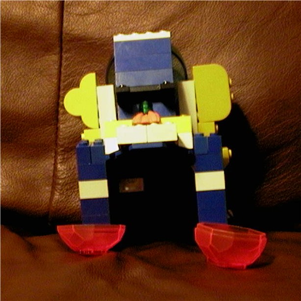 back_view.jpg