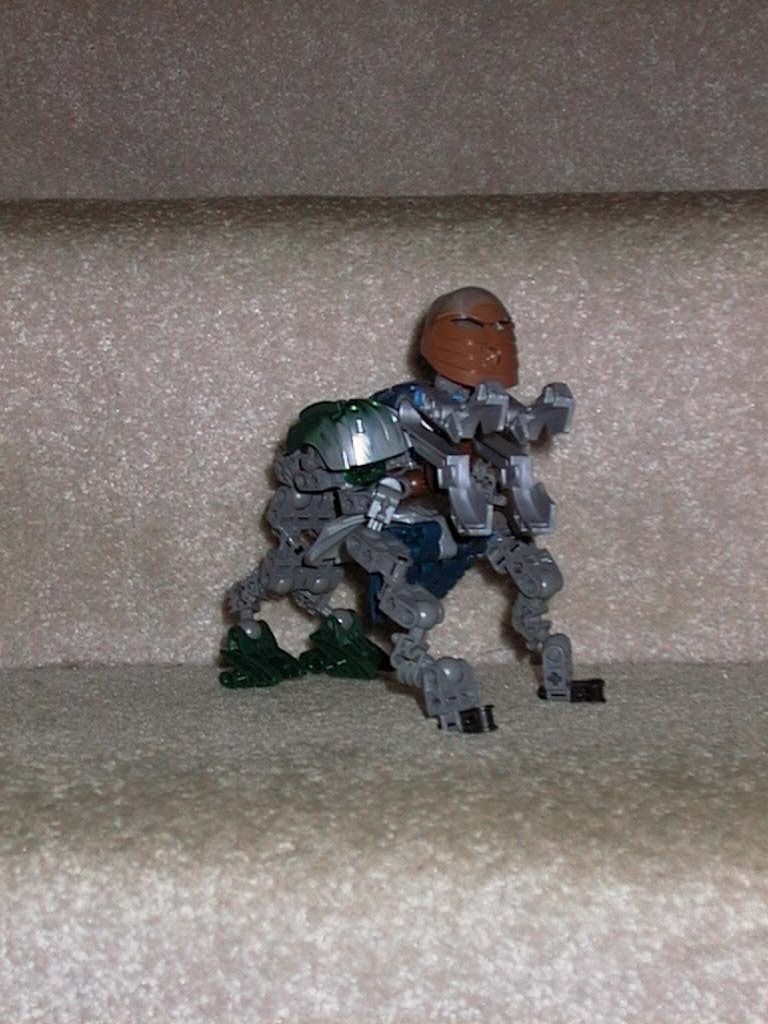 tim_1525.jpg
