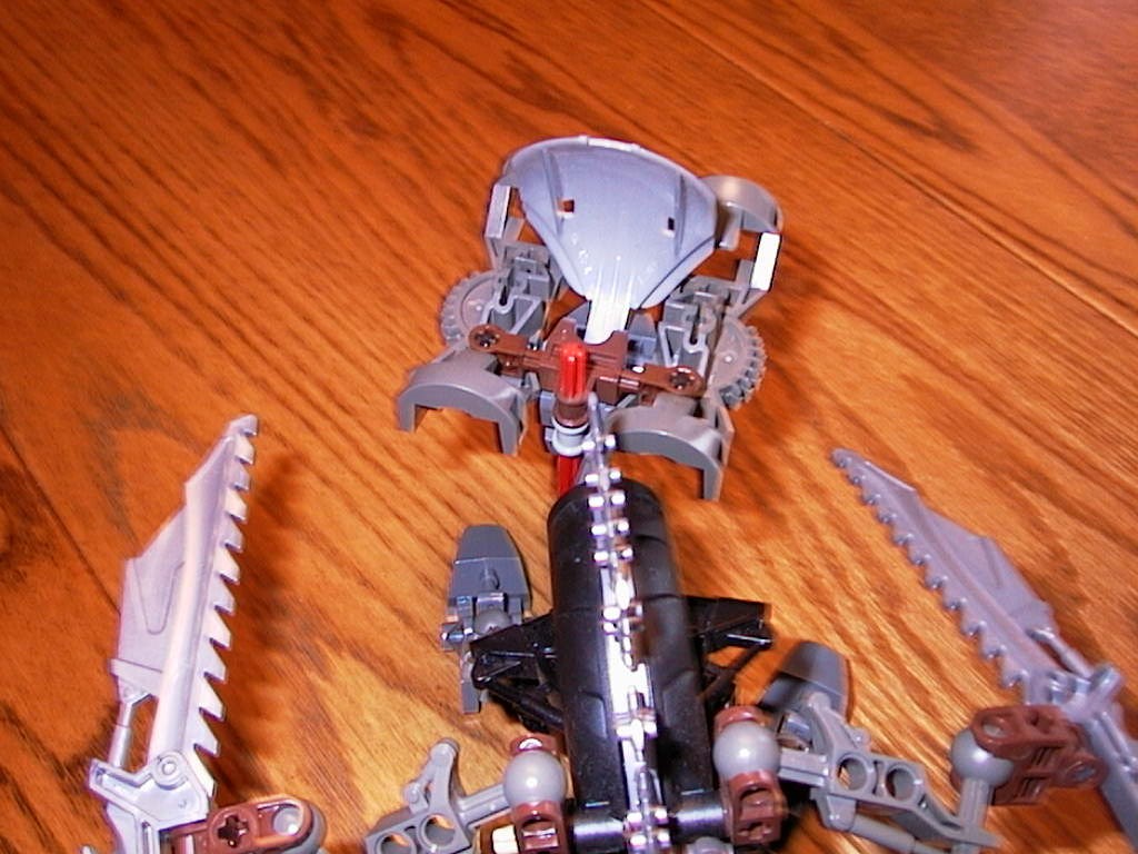 head-back.jpg