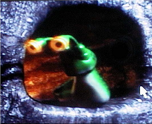 slimy_slug_1.jpg