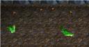 two-slimy-slugs.jpg