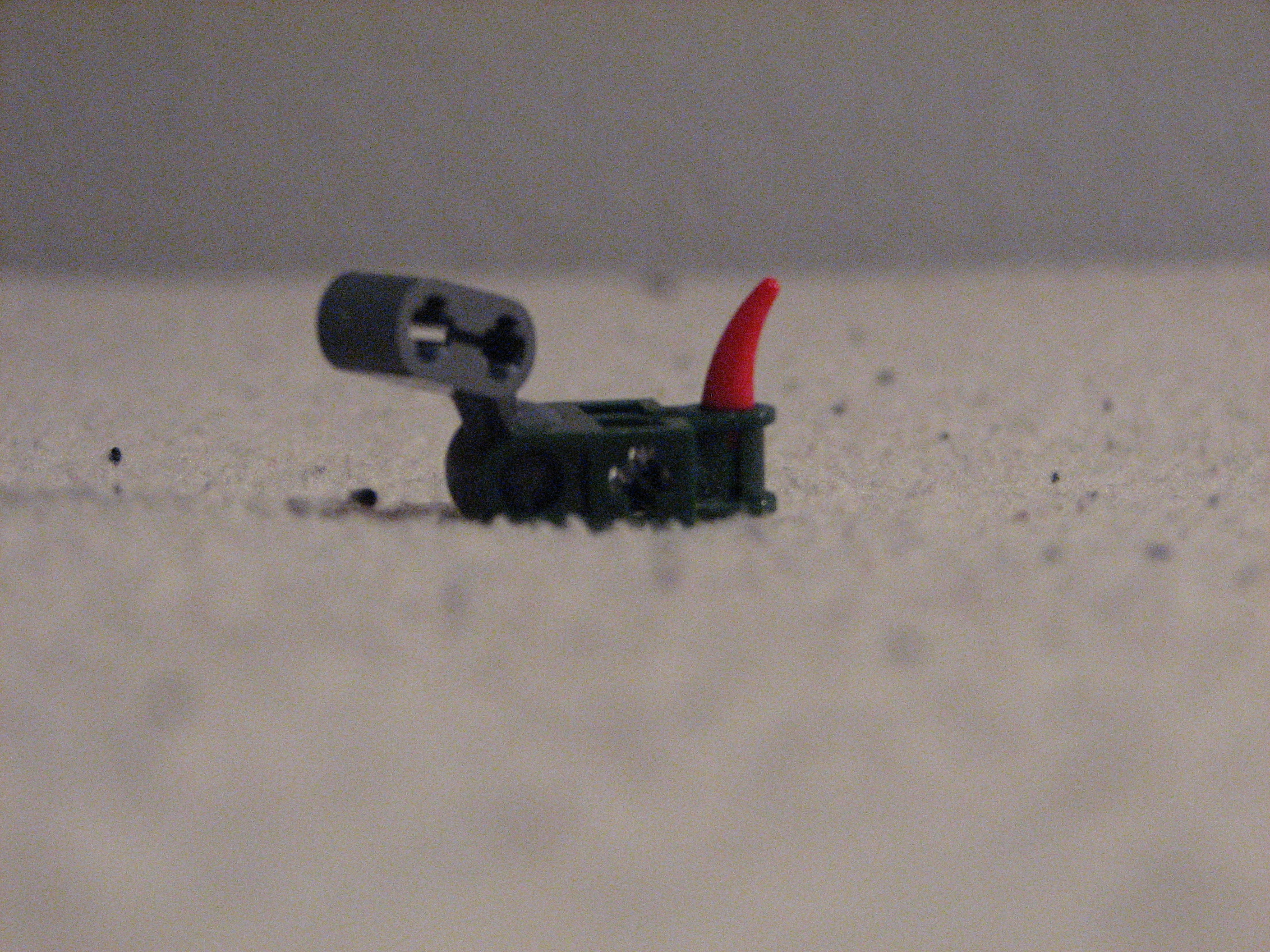 img_1423.jpg