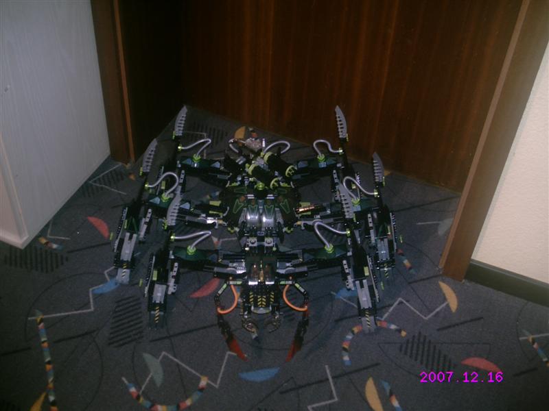 striking_arachnoid_02.jpg