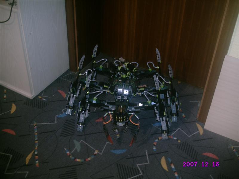 striking_arachnoid_03.jpg