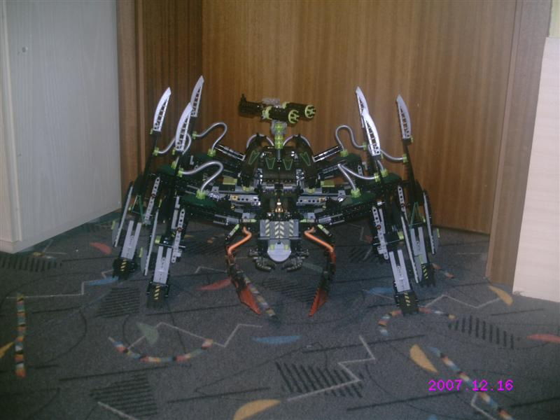 striking_arachnoid_04.jpg