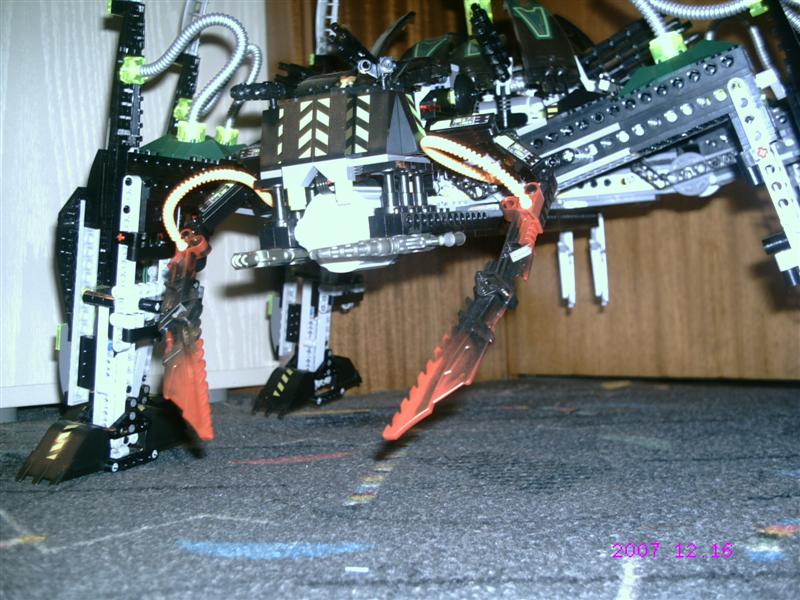 striking_arachnoid_07.jpg
