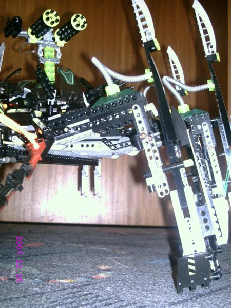 striking_arachnoid_16.jpg