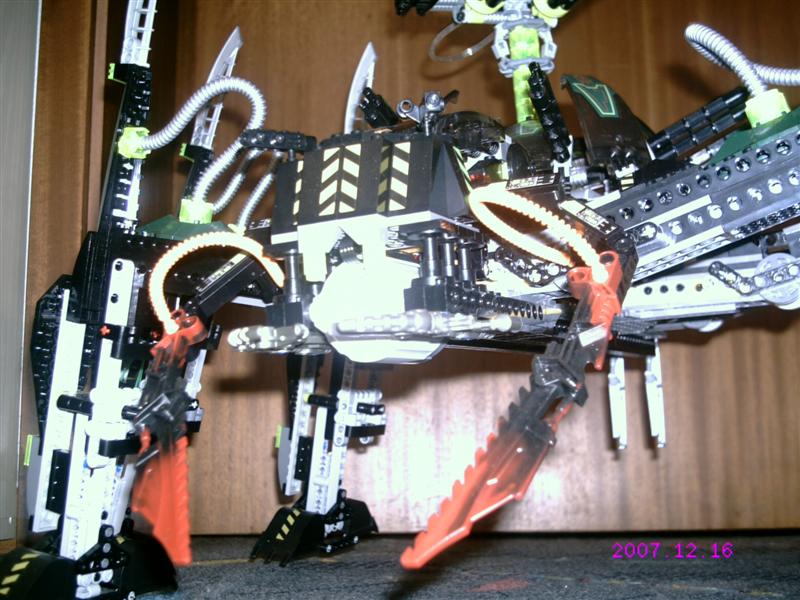 striking_arachnoid_17.jpg