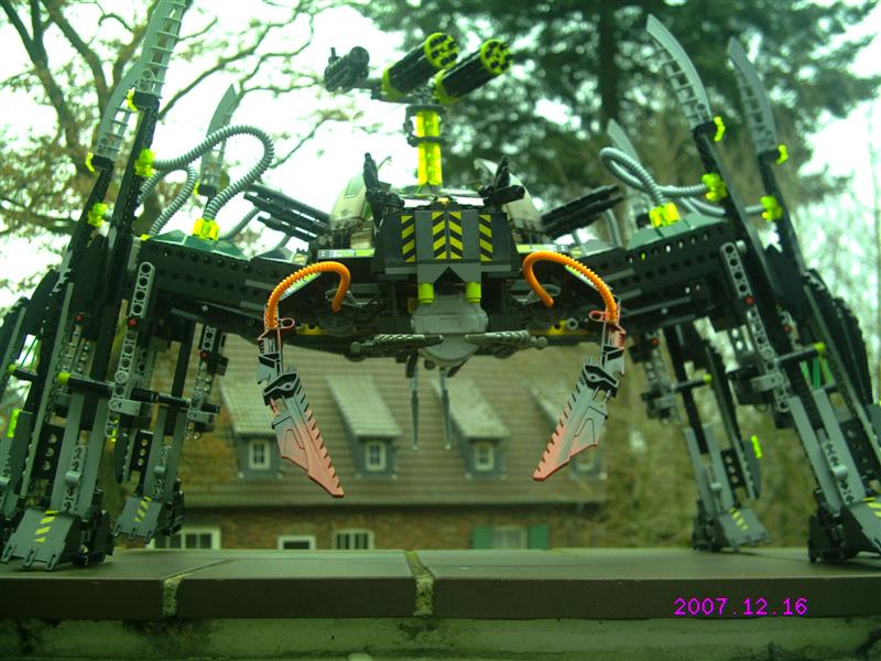 striking_arachnoid_26.jpg