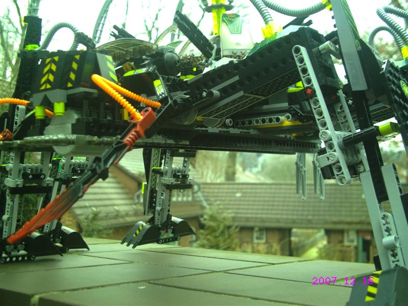 striking_arachnoid_27.jpg