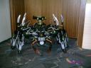 striking_arachnoid_05.jpg